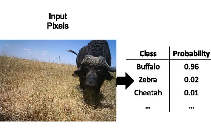 Photo from the study Automatically identifying, counting, and describing wild animals in camera-trap images with deep learning by the University of Wyoming